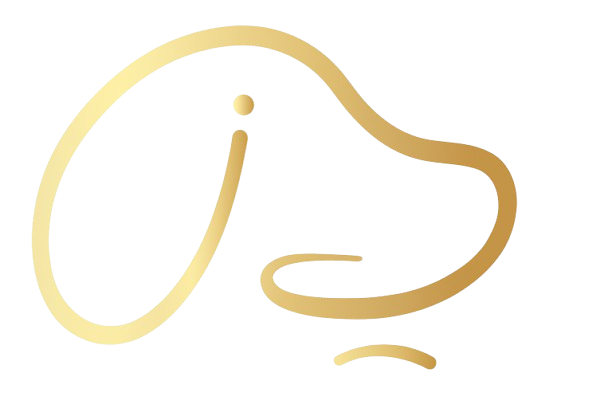نرم افزار کلینیک دامپزشکی نرم افزار بیمارستان دامپزشکی
